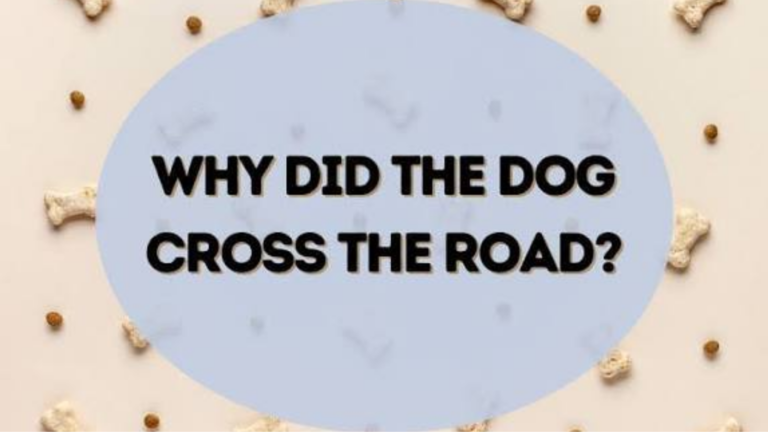 Dog riddles for kids