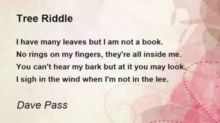 tree riddles